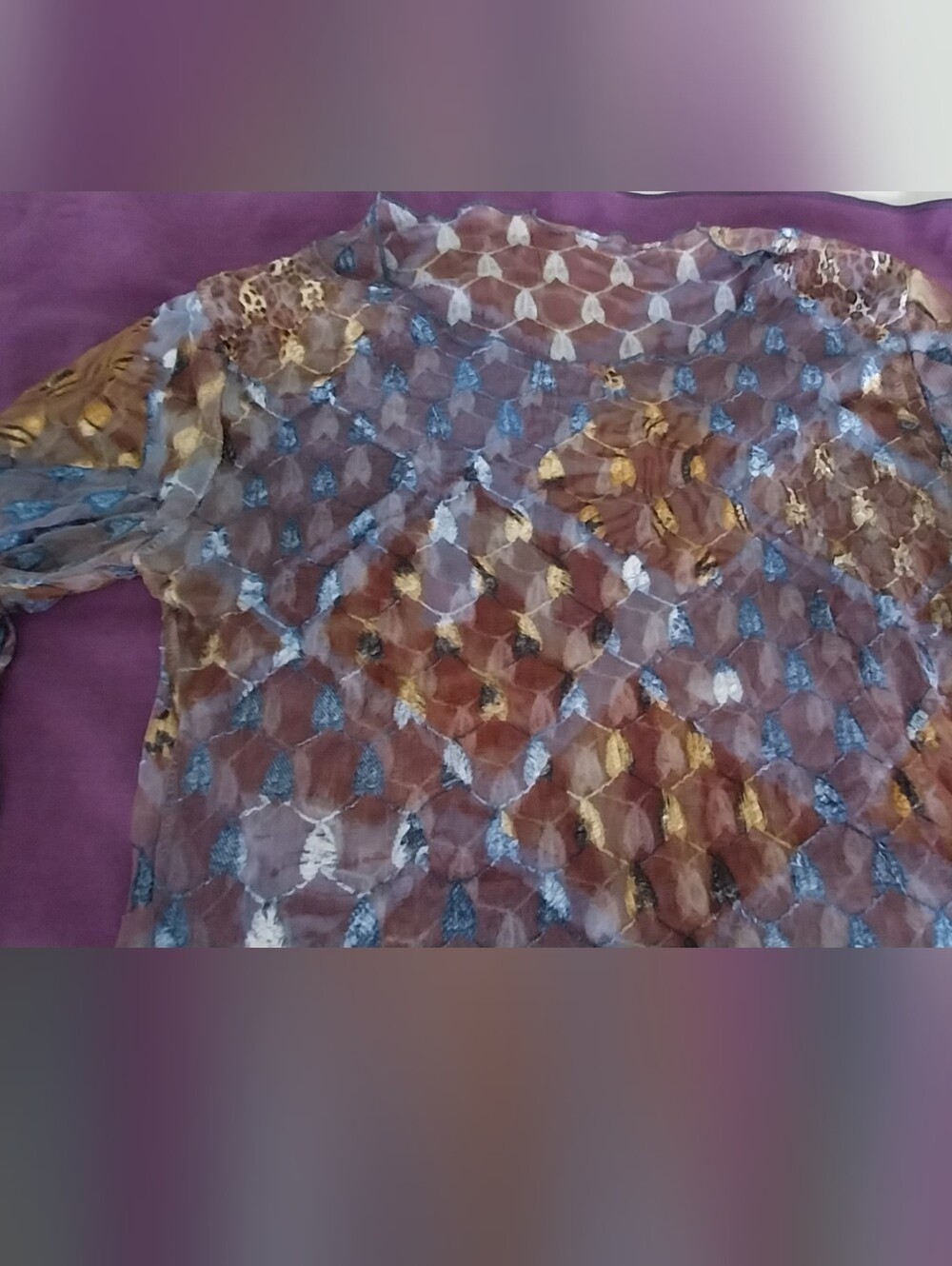 Sheer Long-Sleeve Mesh Top in Blue and Brown - Picture 3 of 9